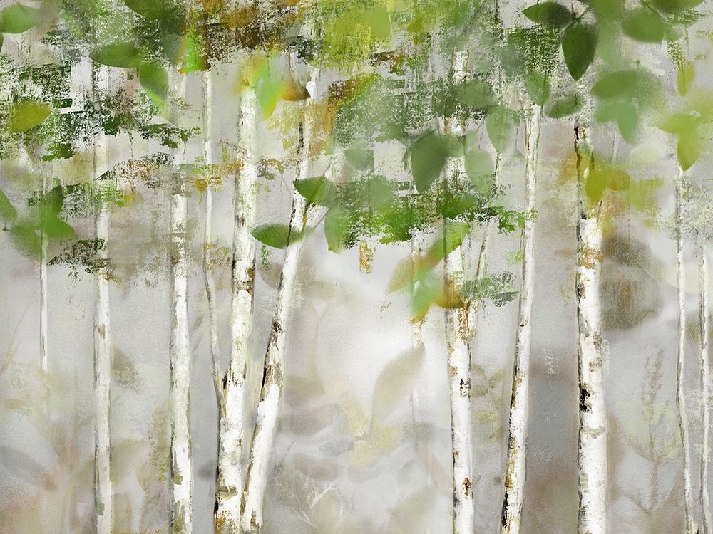 Evergreen Forest Poster Print by Nan Nan - Item # VARPDX40964