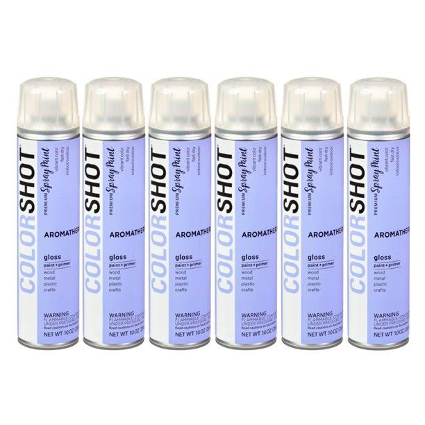 COLORSHOT Gloss Spray Paint Aromatherapy 10 oz. 6 Pack