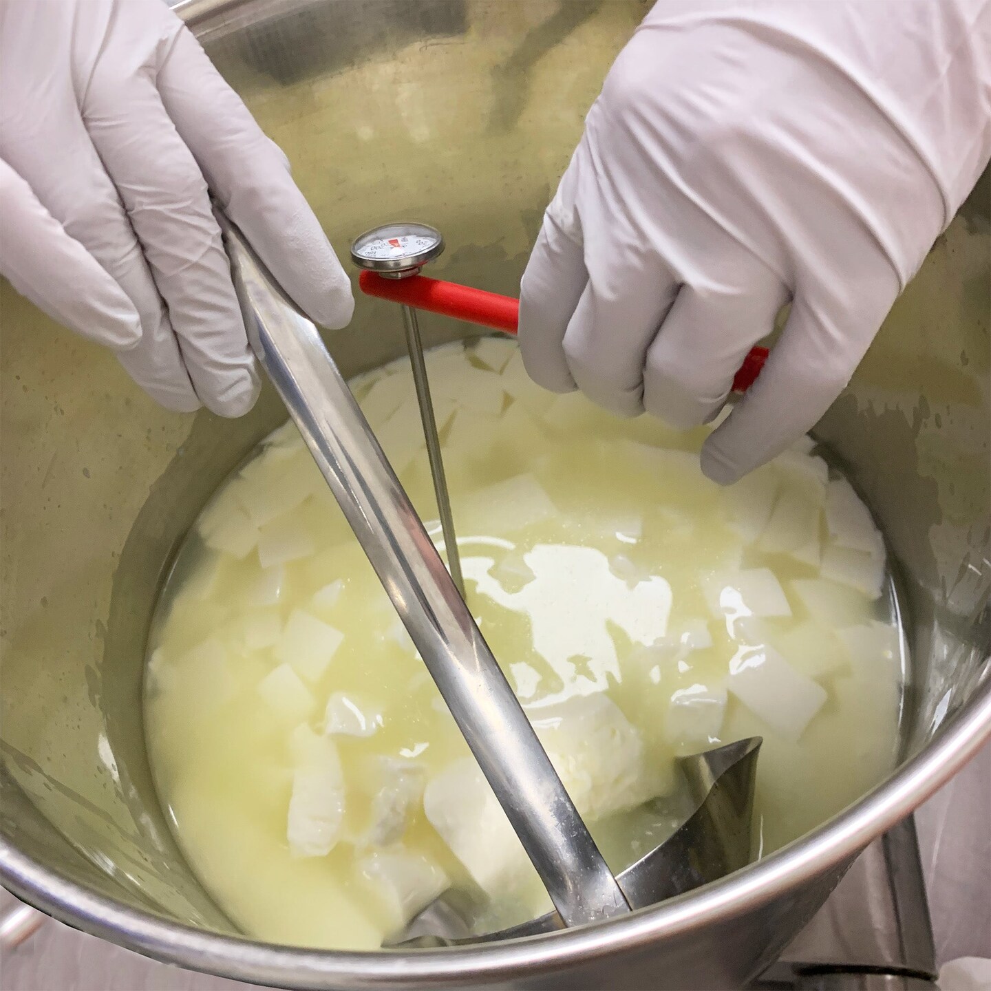 Make Your Own Cheese DIY Kit Michaels