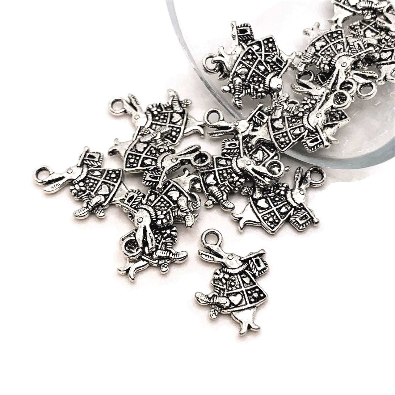 Alice in Wonderland Charm Collection - Silver