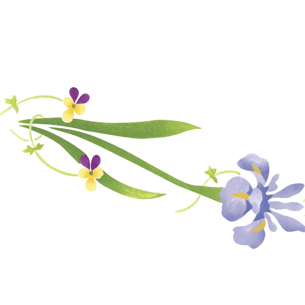 Iris Flower Wall Stencil | 2799 by Designer Stencils | Floral Stencils | Reusable Art Craft Stencils for Painting on Walls, Canvas, Wood | Reusable Plastic Paint Stencil for Home Makeover | Easy to Use & Clean Art Stencil