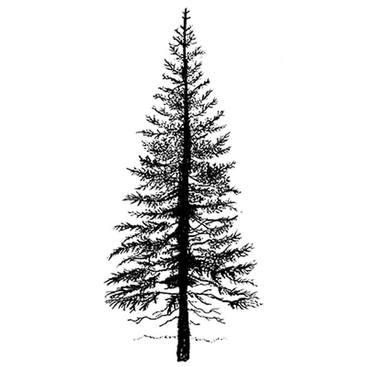 Lavinia Stamps Lavinia Stamp - Fir Tree 1