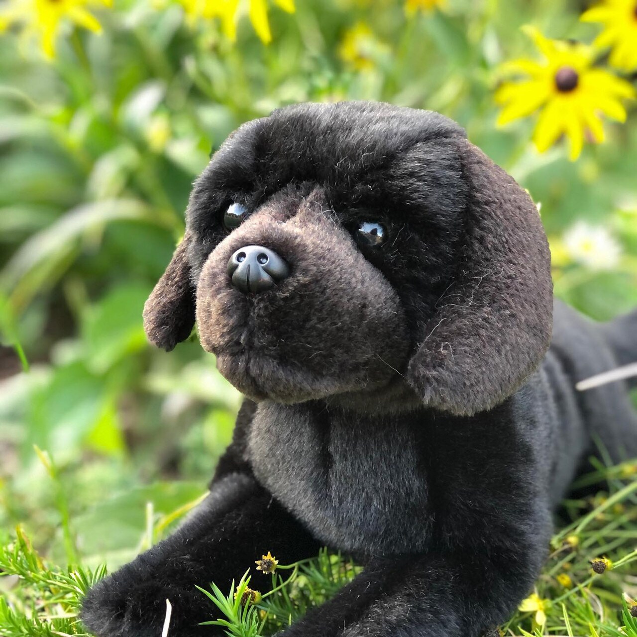 Floppy and Lovable: Meet Our Black Labrador Retriever Plush Toy