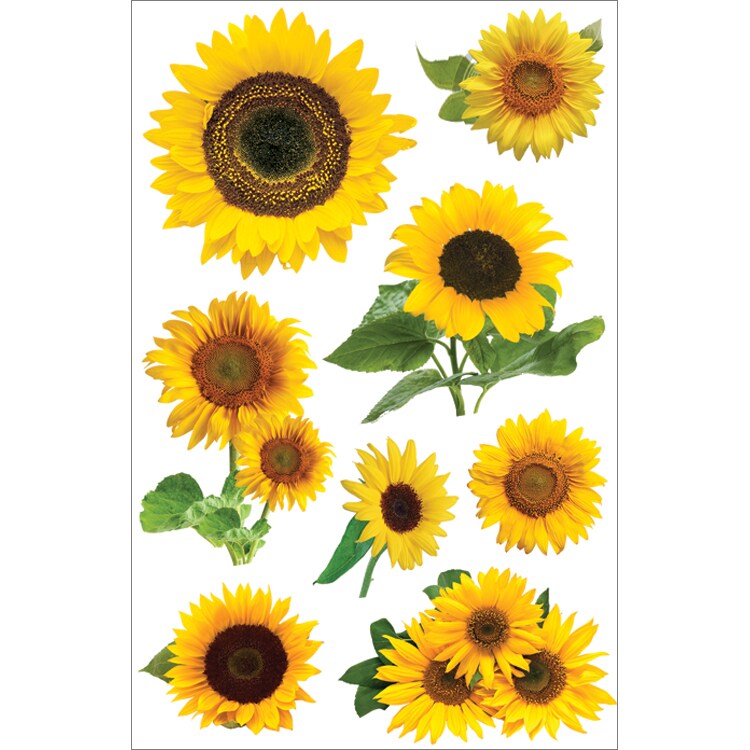 Paper House 3D Stickers 4.5&#x22;X7.5&#x22;-Sunflowers