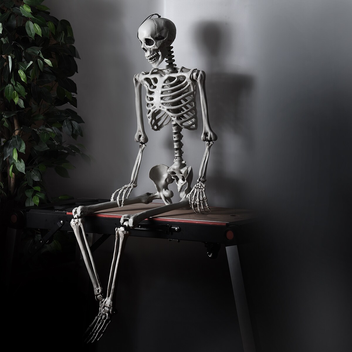 Costway 5.4ft Halloween Skeleton Life Size Realistic Full Body Hanging w/ Movable Joints