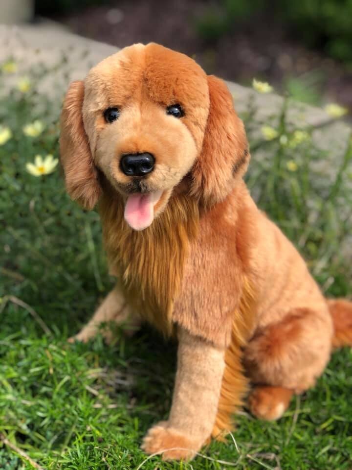Red Golden Retriever Jack - Adorable and Realistic Plush Toy