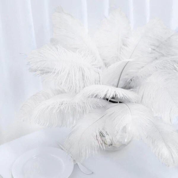 12 pcs 13"-15" long Genuine Ostrich Feathers