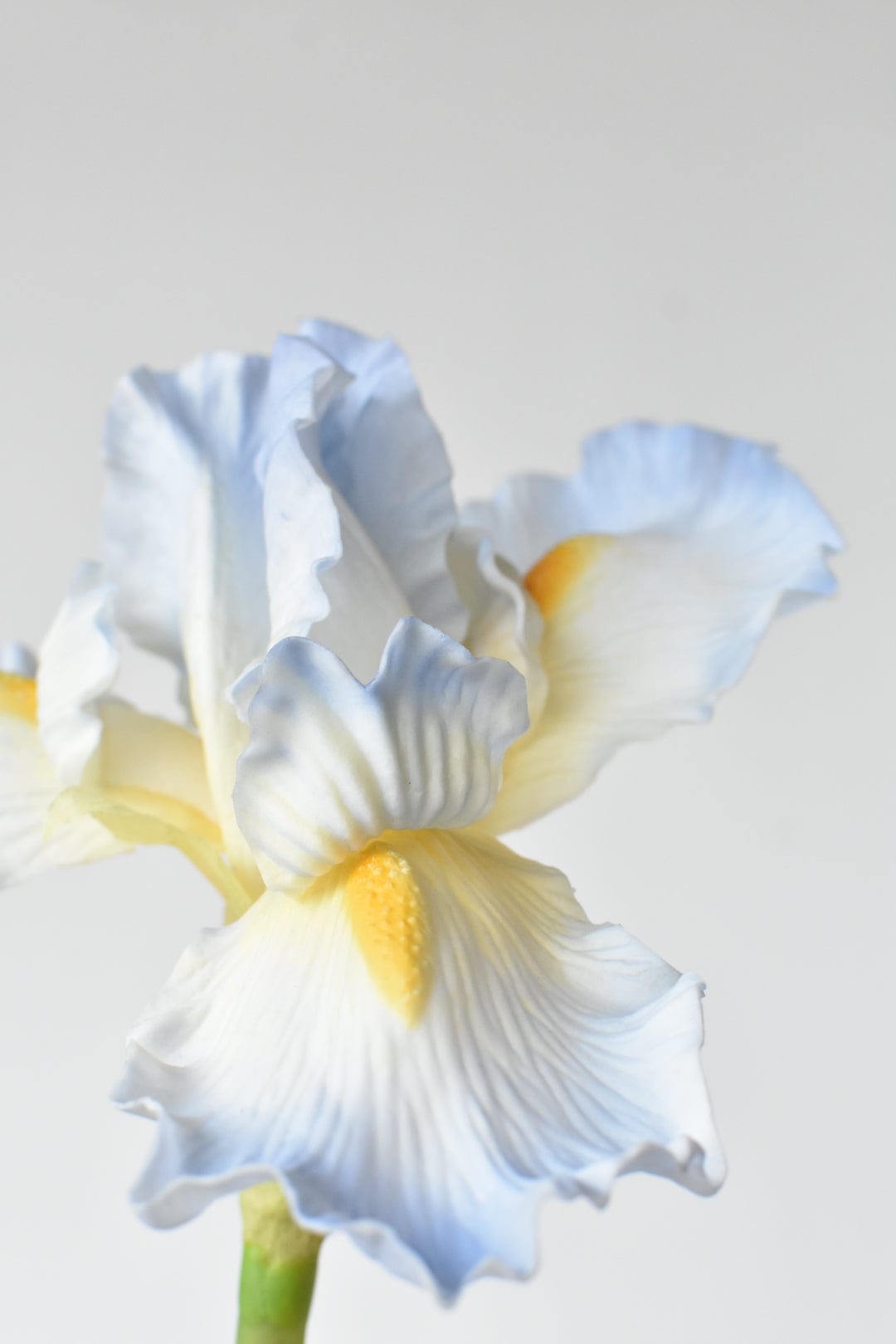 30&#x22; Real Touch Faux Light Blue Iris Stem