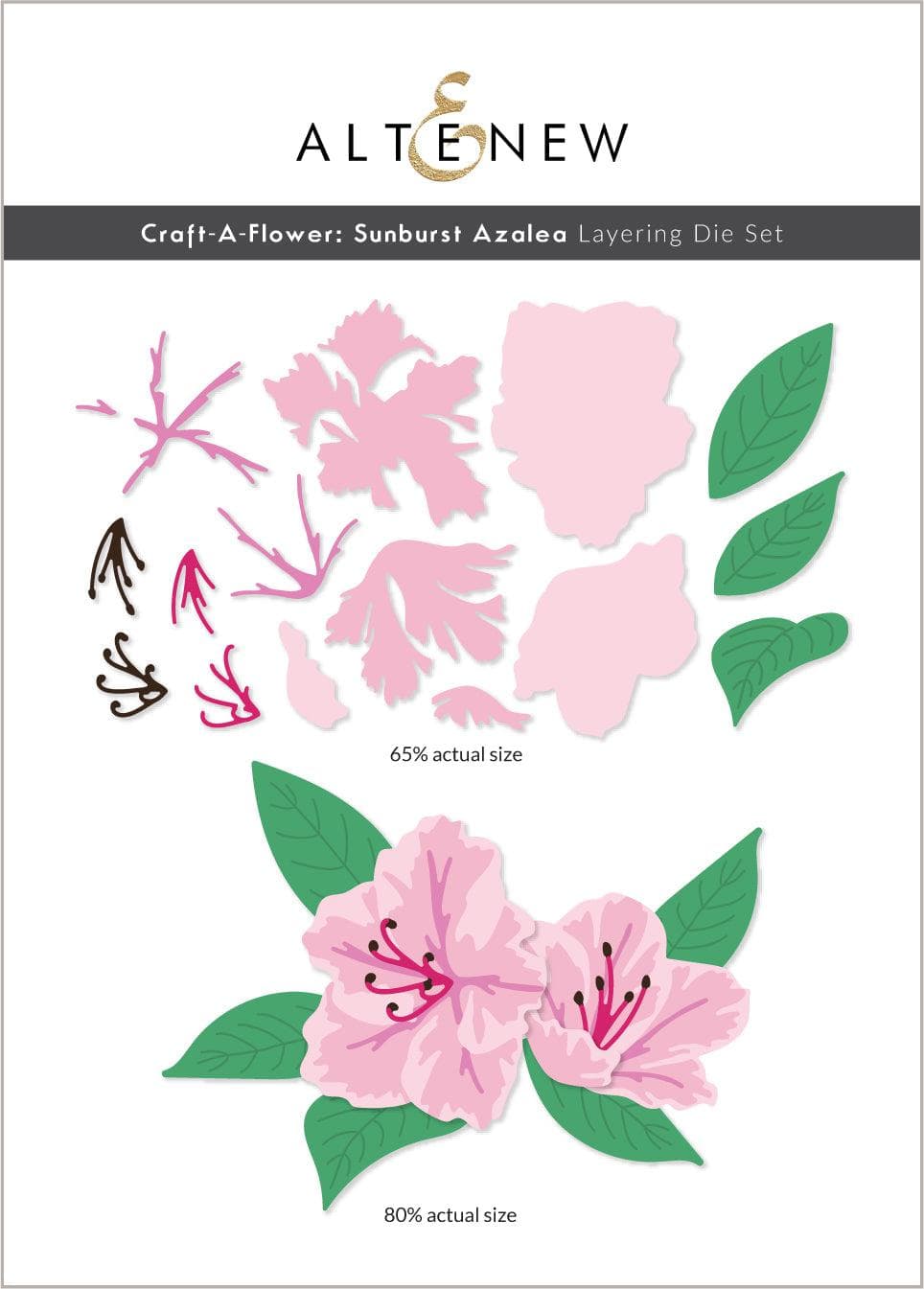Craft-A-Flower: Sunburst Azalea Layering Die Set