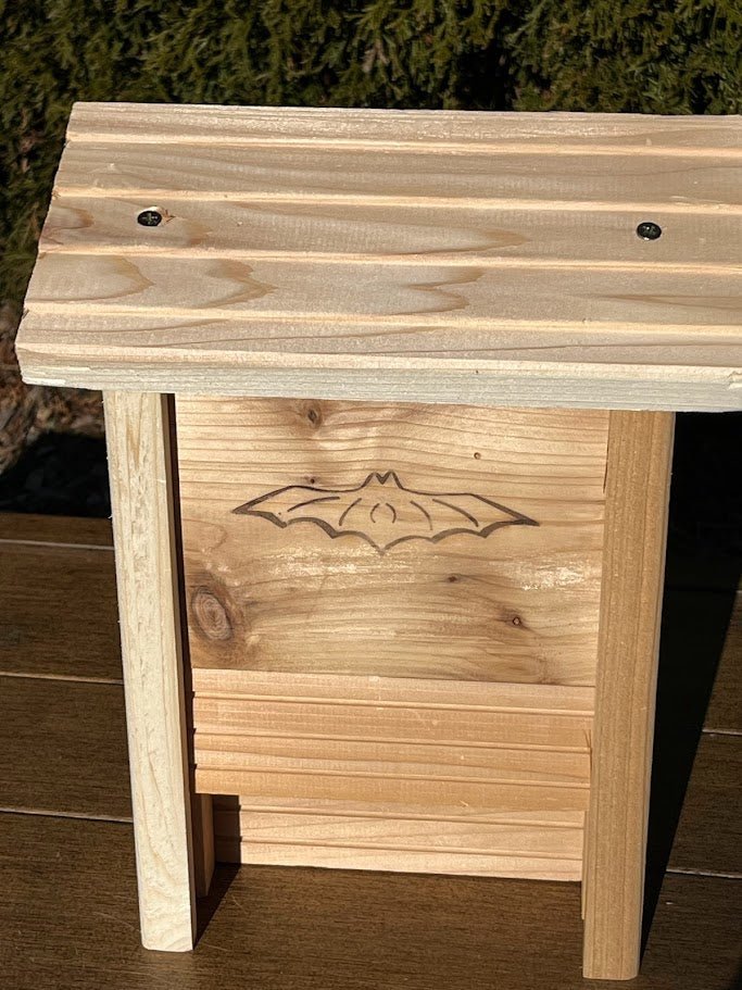 Kids DIY Bat House Kit