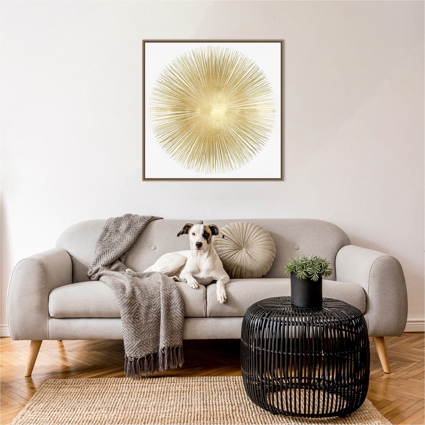 Sunburst Soft Gold I by Abby Young Framed Canvas Wall Art