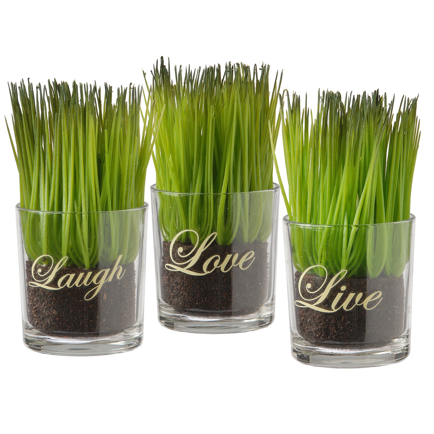 3-Piece Sprout-Filled Glass Assortment