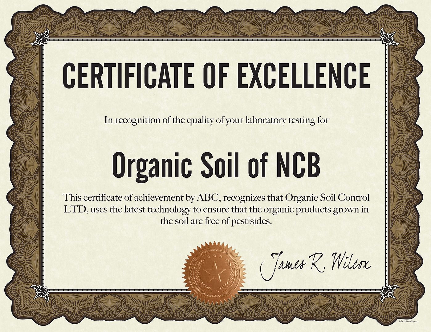 Great Papers! Cambridge Certificates with Copper Seal, Gold Border, 8.5" x 11", Printer Compatible, 10 Count