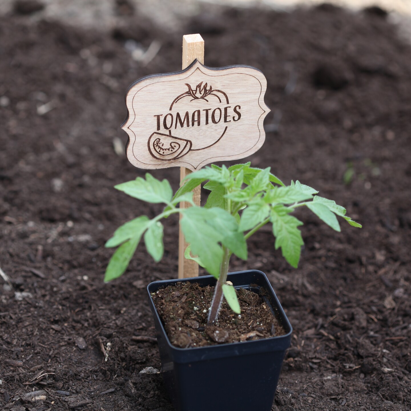 Vegetable Garden Markers