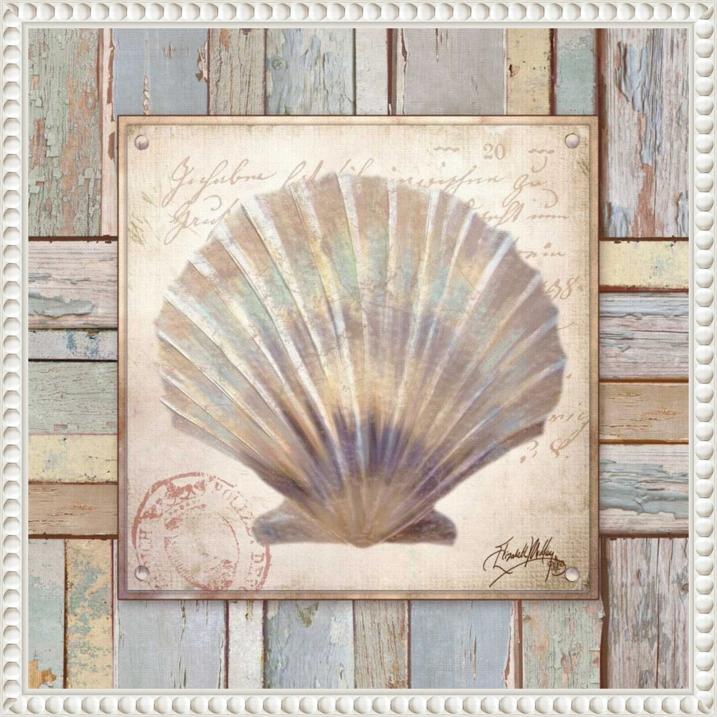 Beach Shell I by Elizabeth Medley Framed Canvas Wall Art