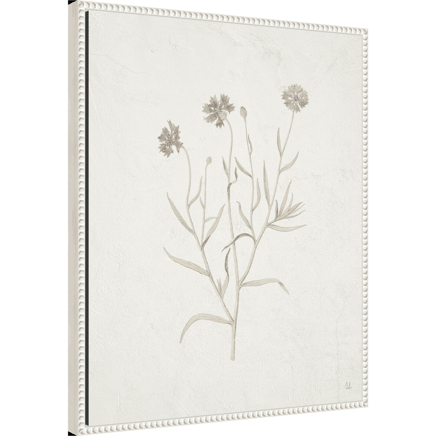 Gifts from the Meadow V by Sarah Adams Framed Canvas Wall Art