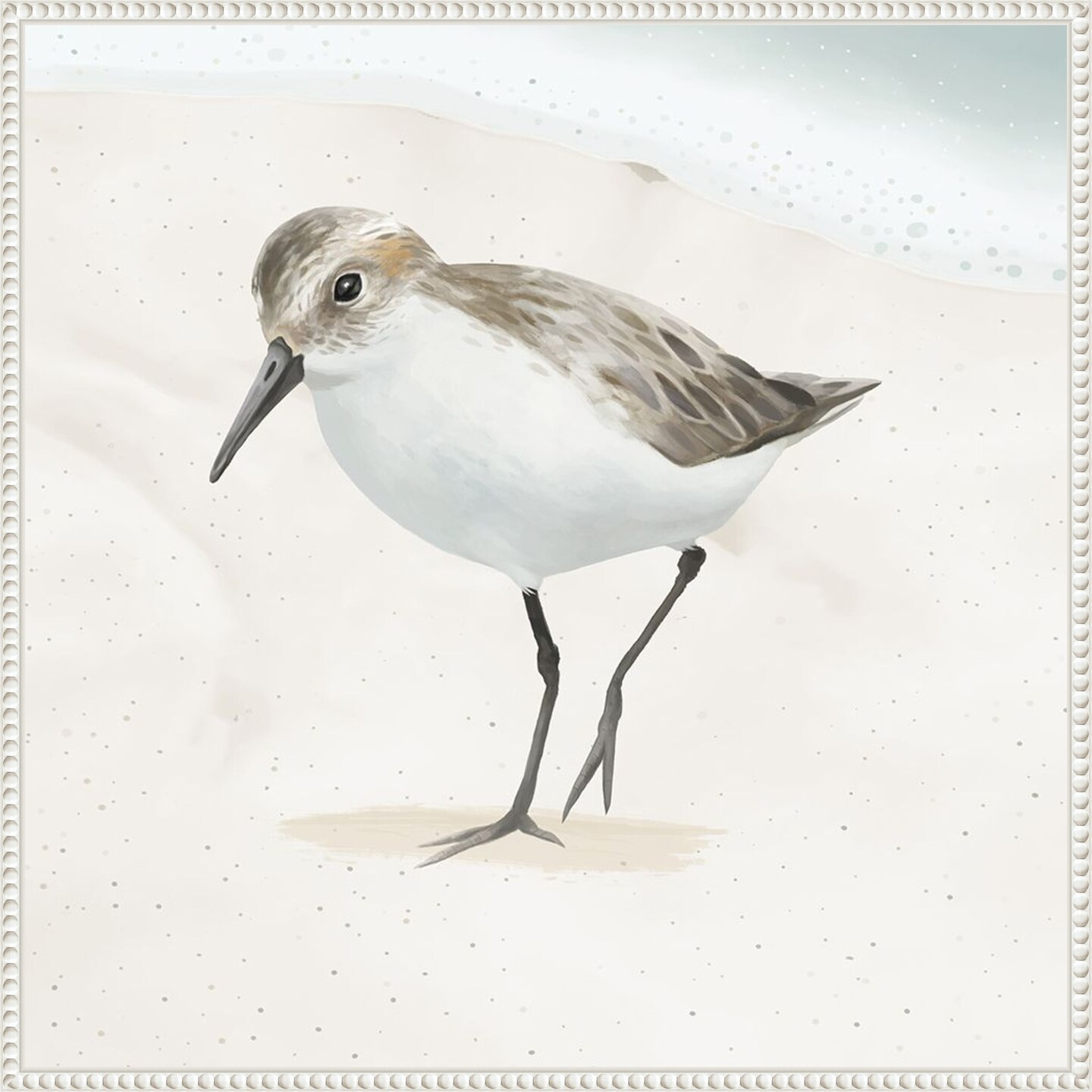 Sandpiper on the Beach II by Lucca Sheppard Framed Canvas Wall Art
