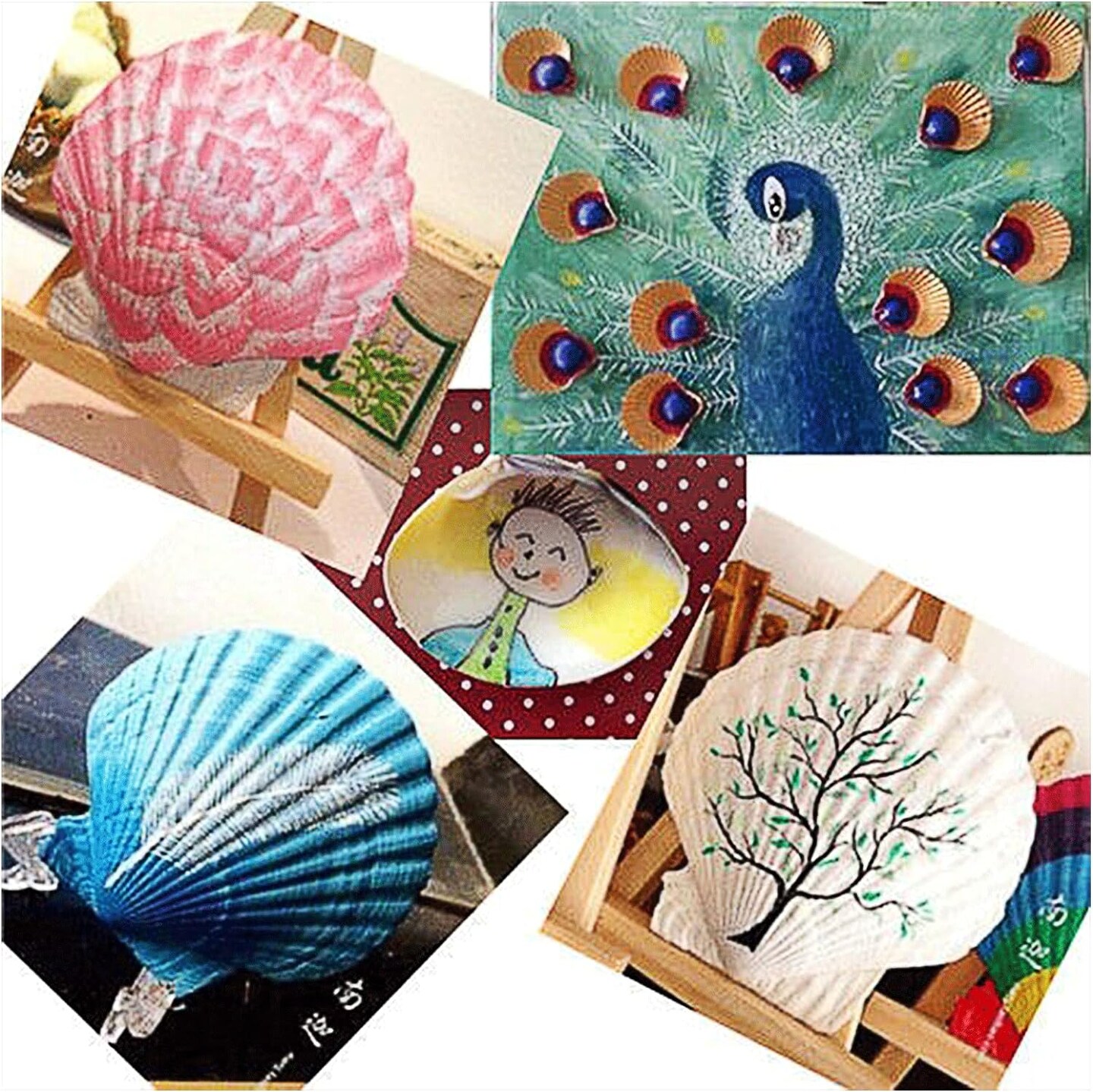 Sea Shells White Scallop Shells 10 pcs