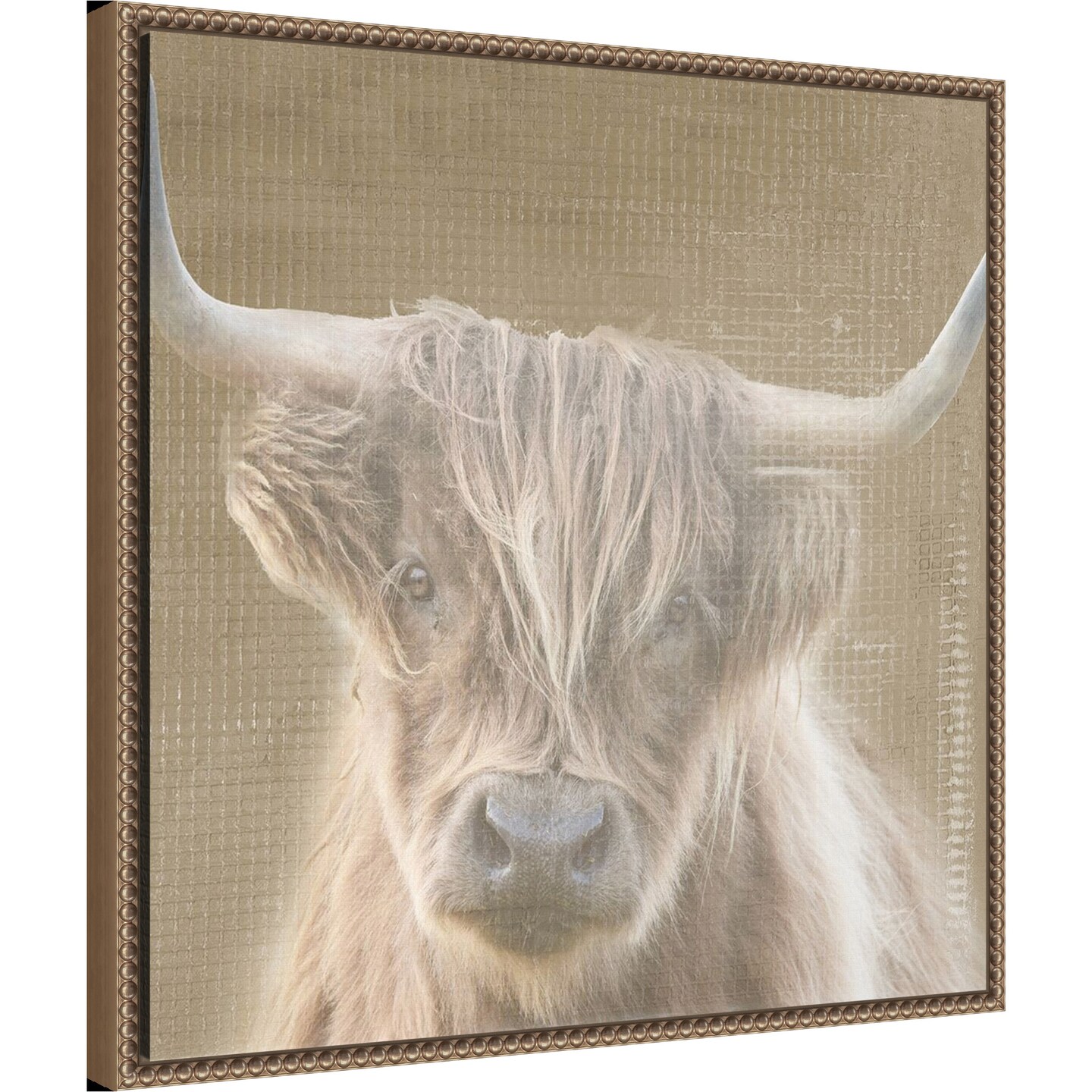 Soulful Bull by Patricia Pinto Framed Canvas Wall Art