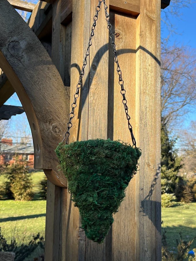 6&#x22; MOSS Hanging Basket - Circle Cone