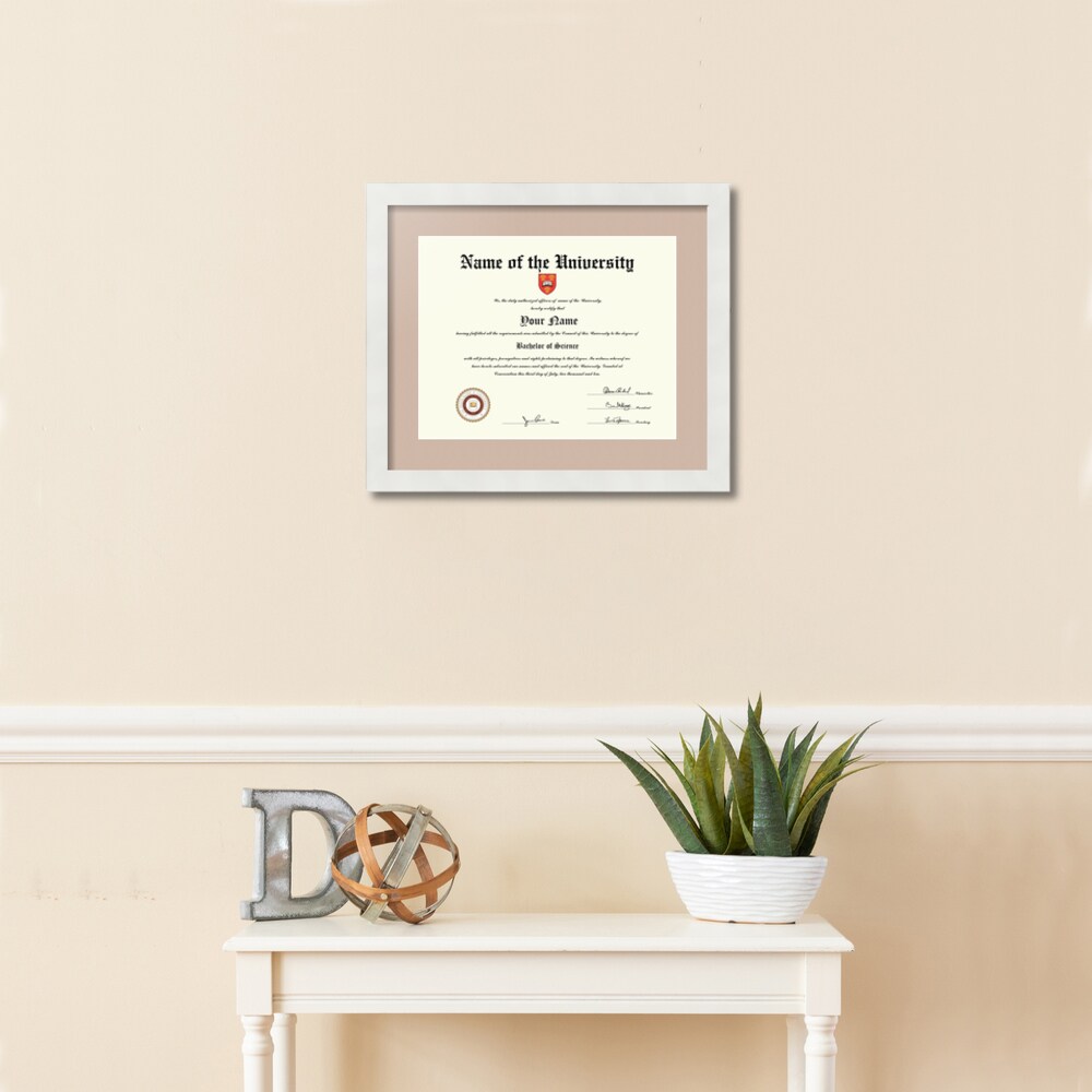 ArtToFrames Collage Photo Picture Frame with 1 - 11x14 inch Openings, Framed in White with Over 62 Mat Color Options and Regular Glass (CSM-3966-726)