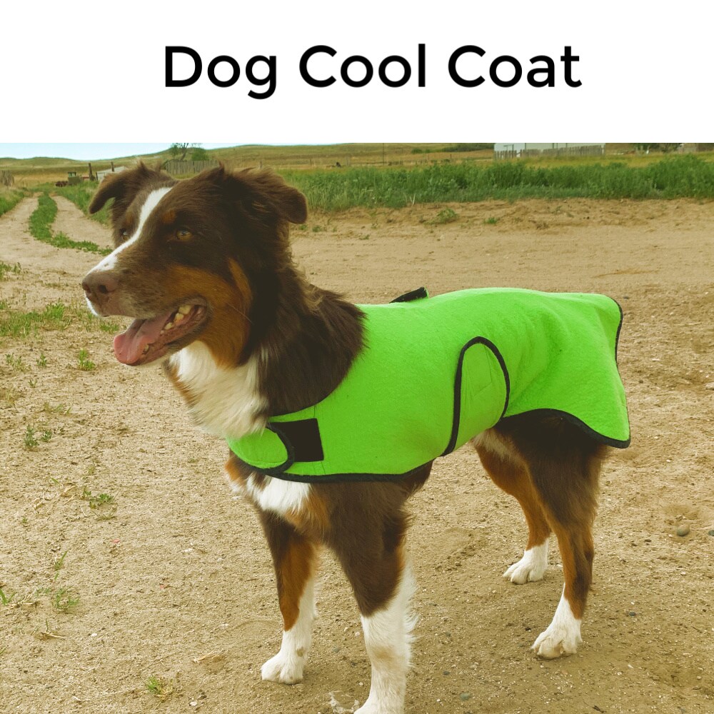 Dog cool coat, Medium dog cooler, custom dog cool coat MakerPlace by Michaels