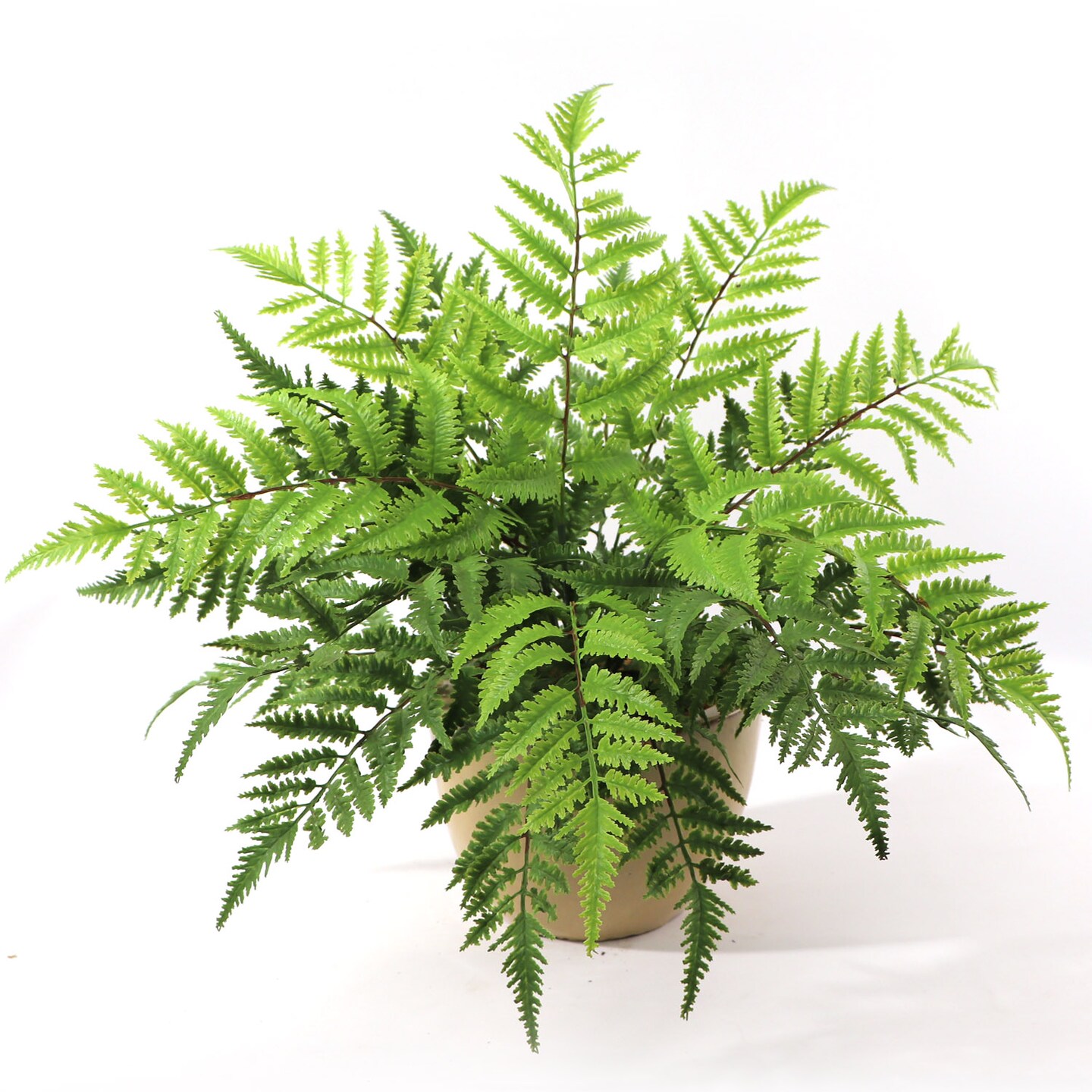 6-Pack: UV Boston Fern Plant with 7 Sprays, 28&#x22; Wide by Floral Home&#xAE;