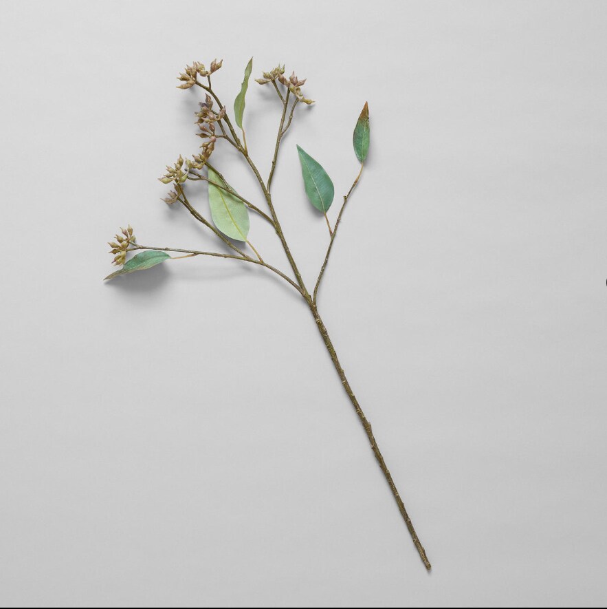 Summer EcoFaux Eucalyptus Seed Branch by Bloomist