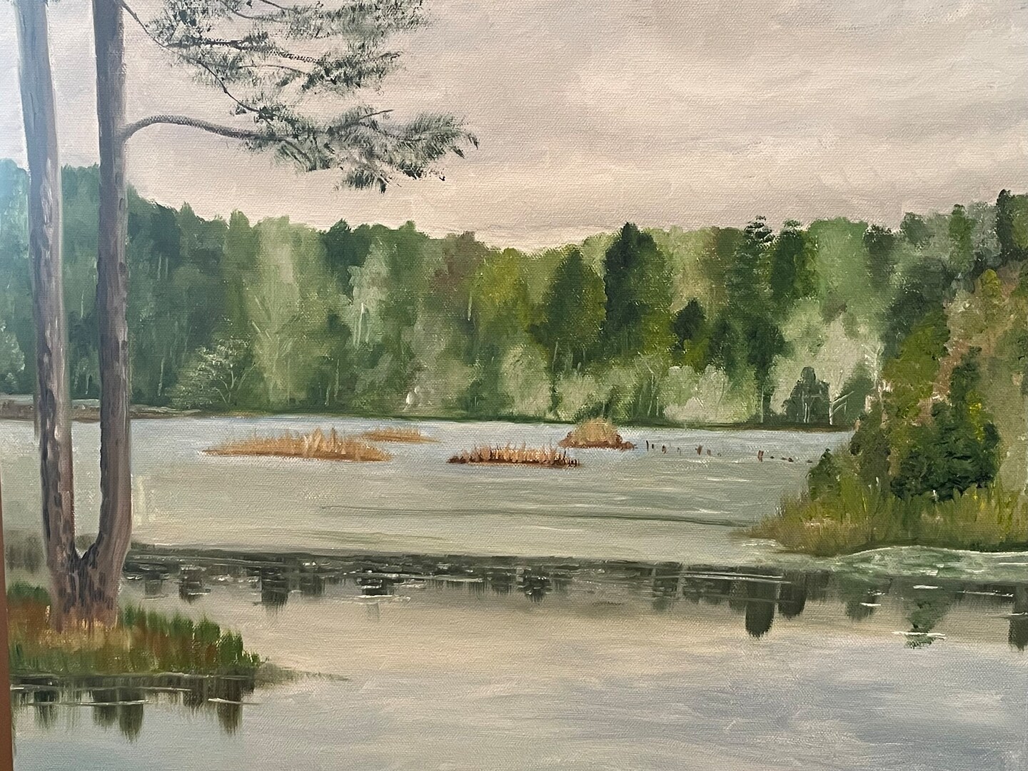 product name is Gravel lakes in the Magnolia Branch wildlife reserve. Oil on a 16x20 canvas.