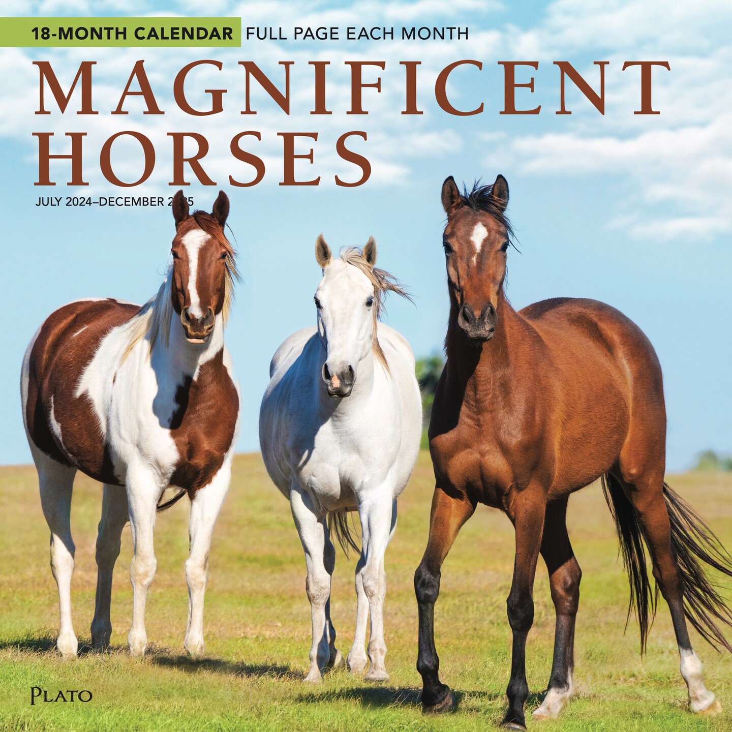 Magnificent Horses 2025 12 x 24 Inch 18 Months Monthly Square Wall