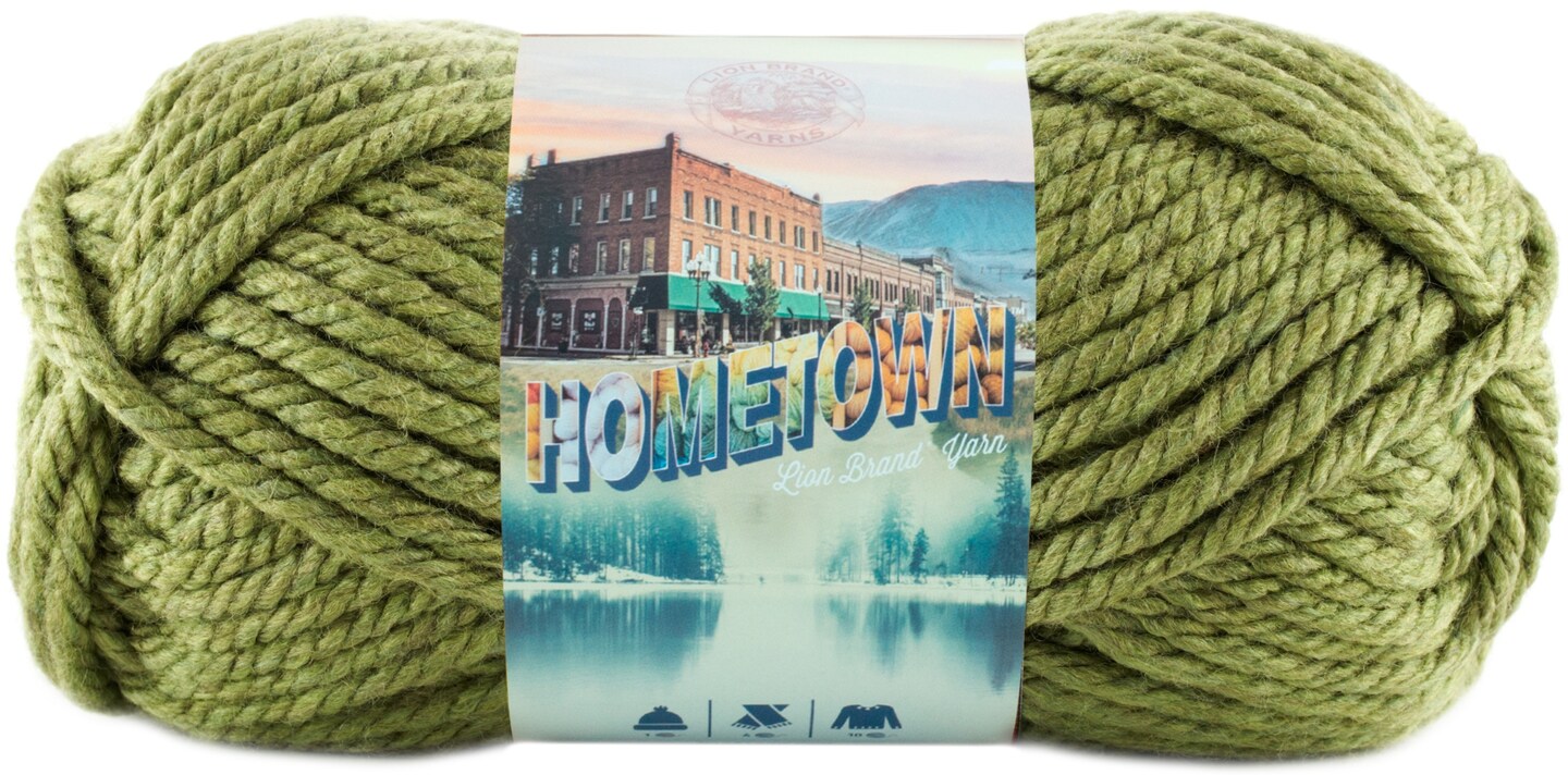 Lion Brand Hometown Yarn-oklahoma City Green : Target