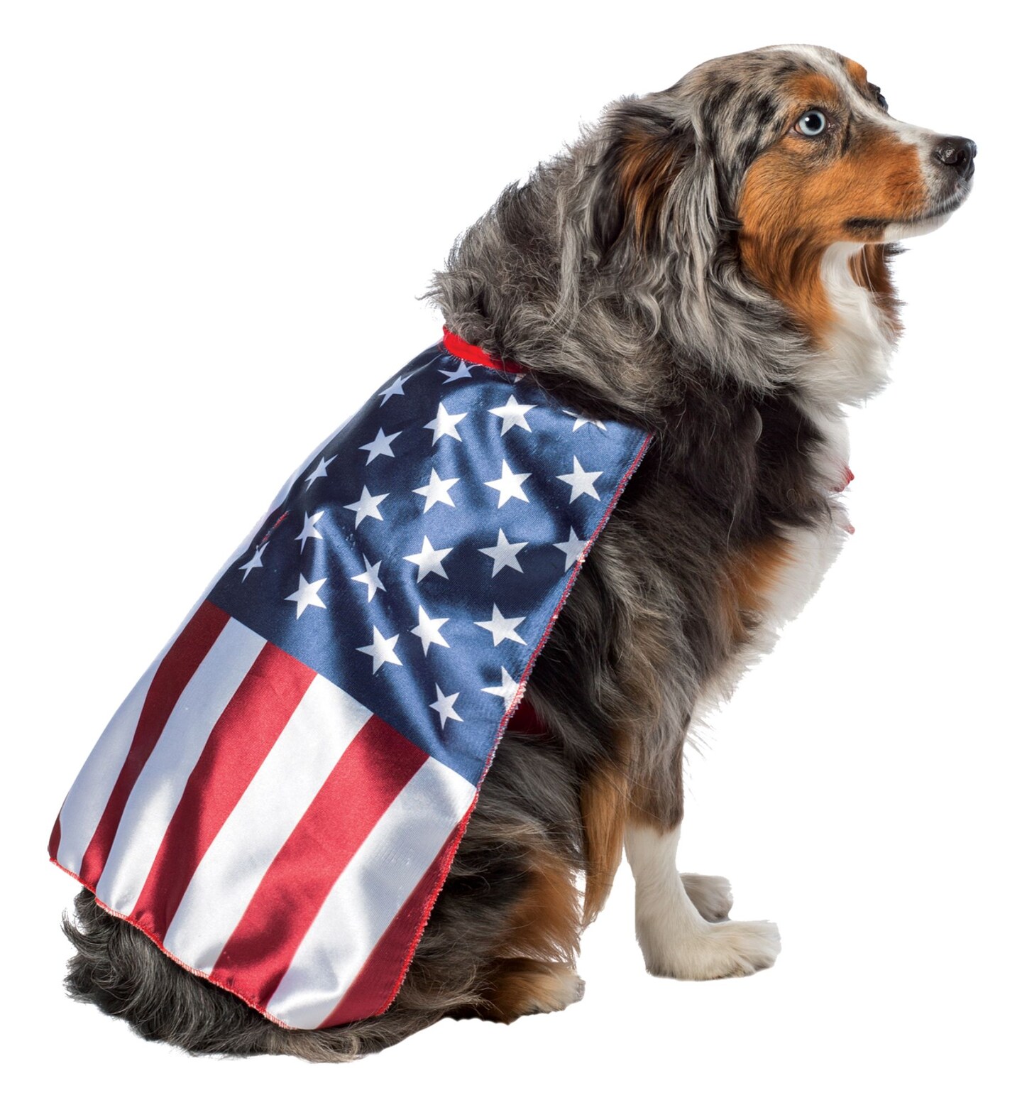 The Costume Center Blue and Red Patriotic Flag Cape Halloween Pet Costume - Large