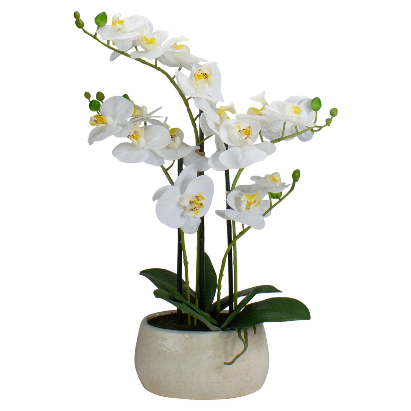 Northlight Real Touch&#x2122;&#xFE0F; Artificial Orchid Plant in a White Oval Pot - 22&#x22; - White and Yellow