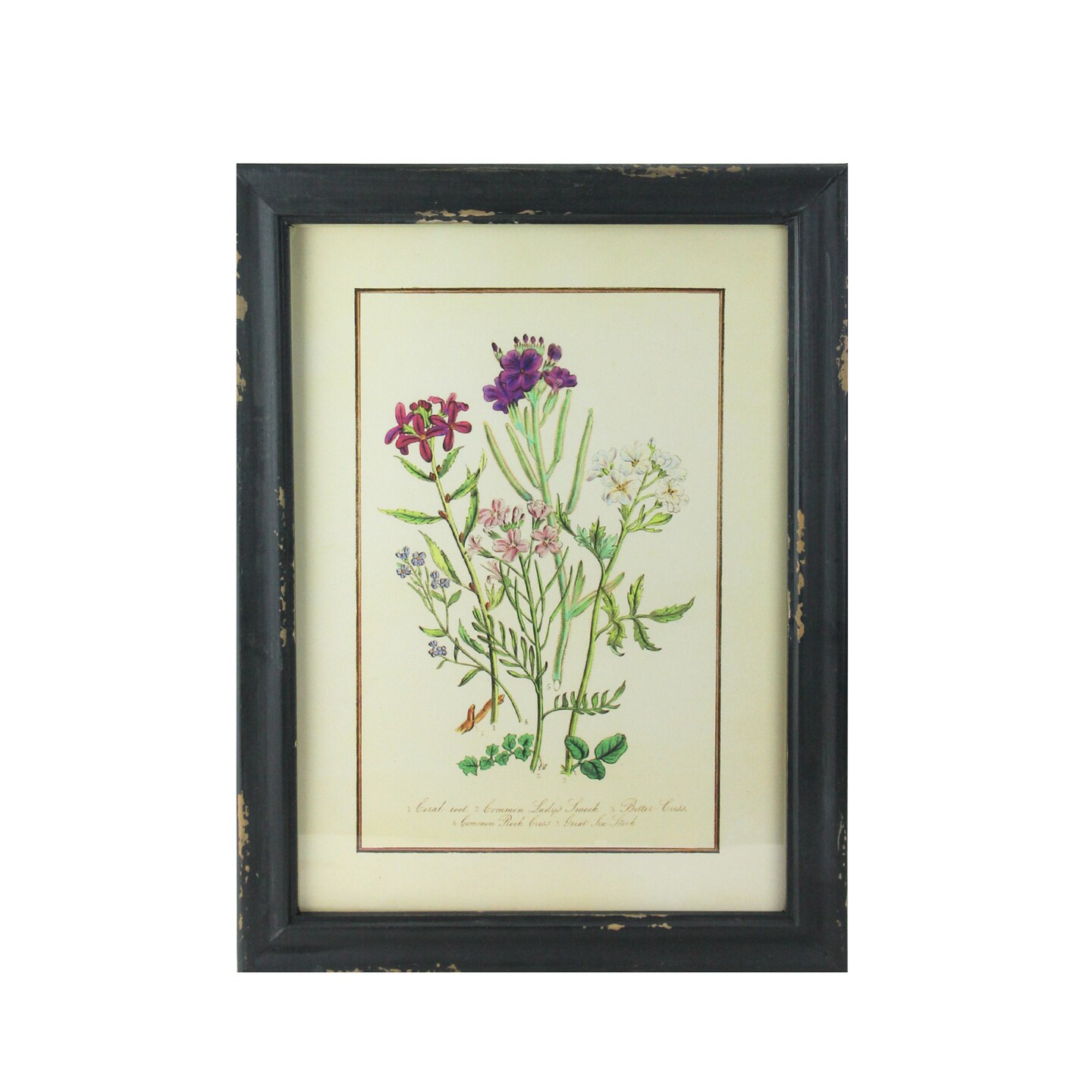 Raz 16&#x22; Black and Butter Yellow Distressed Wood Framed Floral Print Wall Art