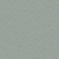 Silverpine