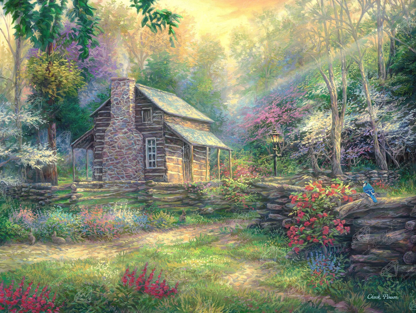 Woodland Oasis