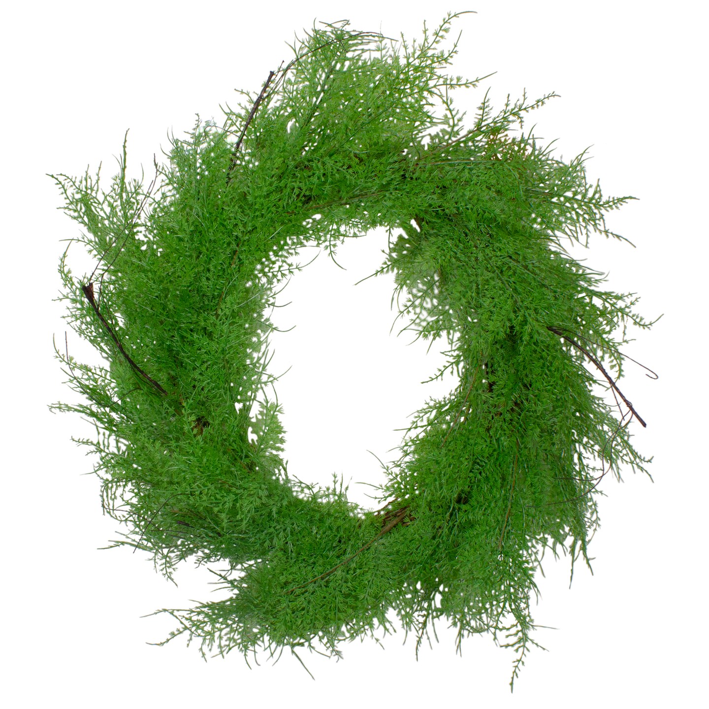 Northlight Real Touch&#x2122;&#xFE0F; Artificial Cedar Christmas Wreath - 24&#x22; - Unlit