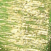 The Ribbon People Lime Green Glitter Wired Craft Ribbon 1.5&#x22; x 54 Yards