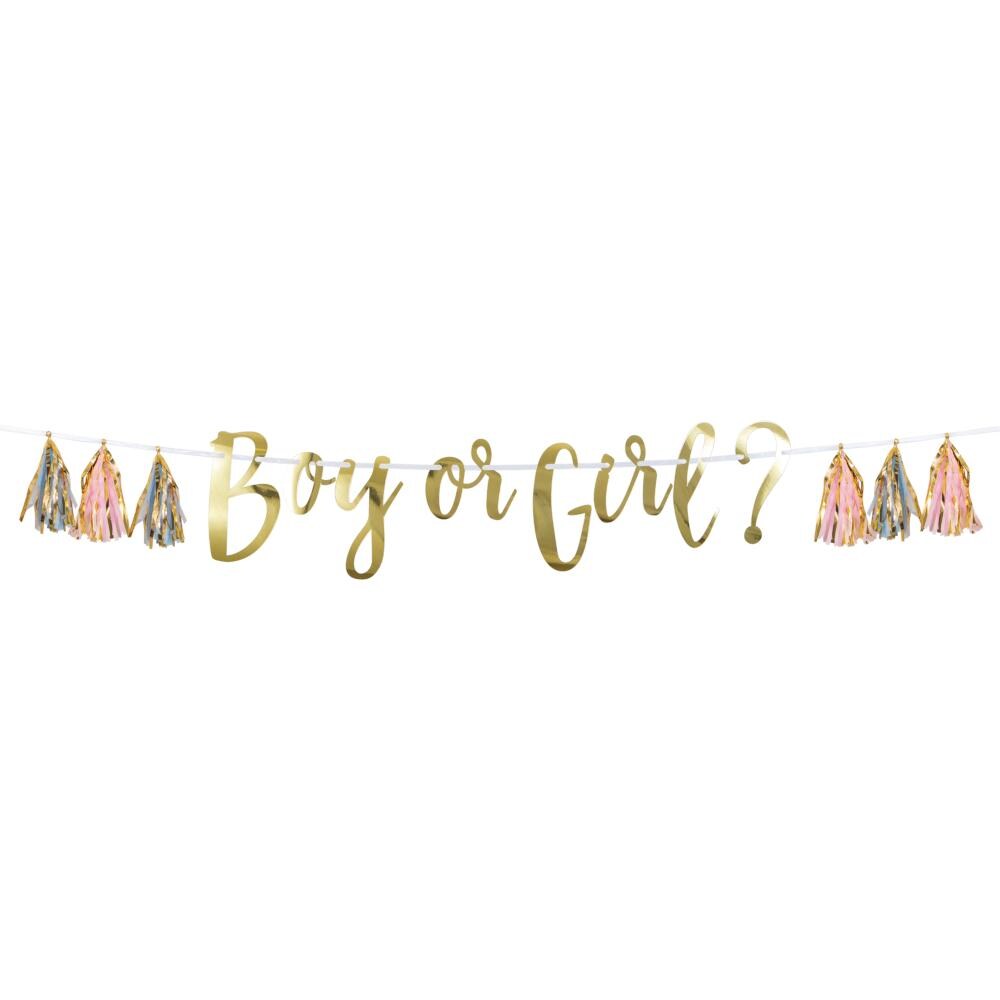 &#x22;Boy Or Girl?&#x22; Pink, Blue &#x26; Gold Tassle Banner