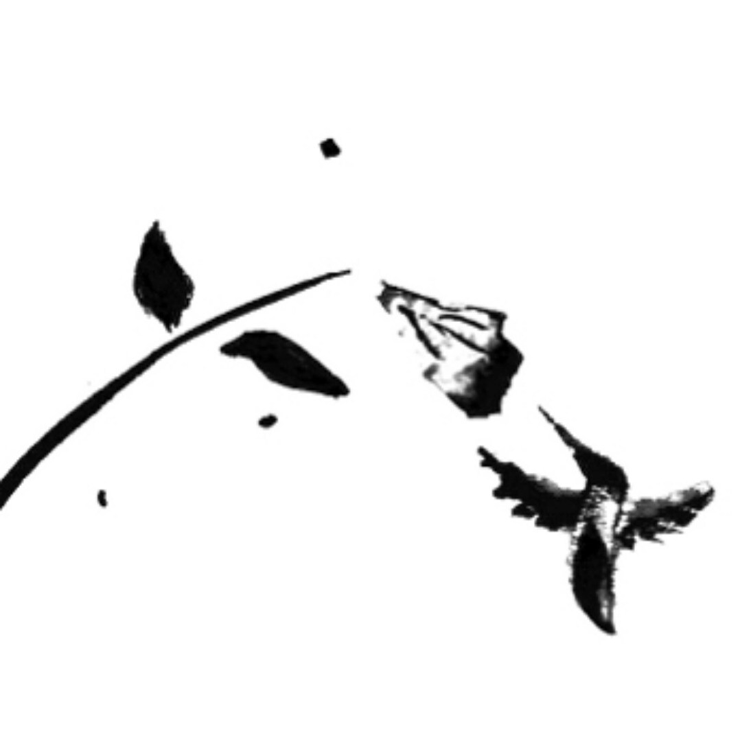 storefront logo