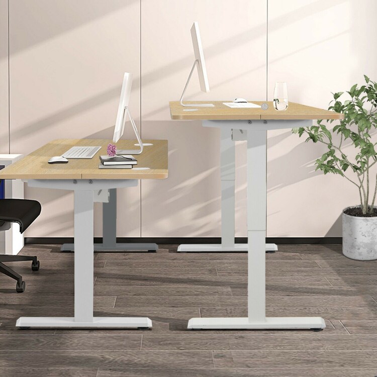 48 Inches Electric Standing Height Adjustable Computer Desk with USB Port and Cable Management tray