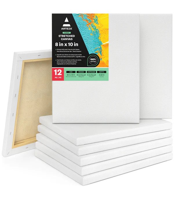 Arteza Stretched Canvas, Premium, White, 12x12, Blank Canvas Boards for  Painting - 8 Pack 