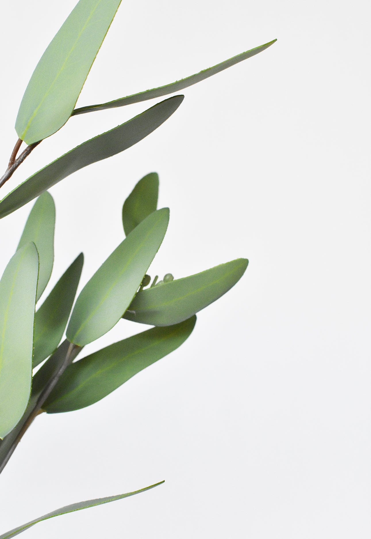 31&#x22; Faux Eucalyptus Leaf Stem