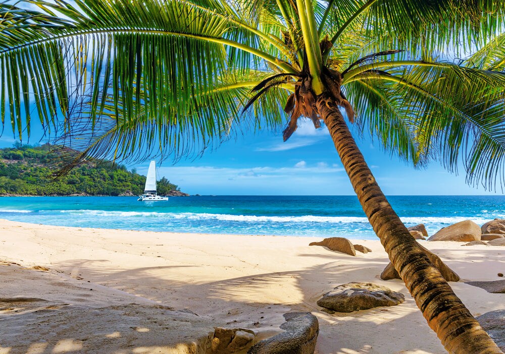 500 Piece Jigsaw Puzzle, Holidays in Seychelles, Tropical beach, Landscape puzzles,  Adult Puzzle, Castorland B-53827