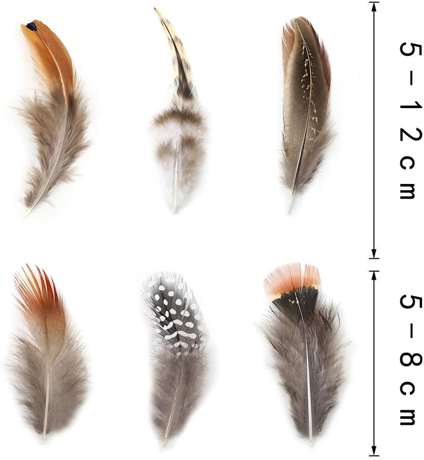 Natural Assorted Mixed Feathers