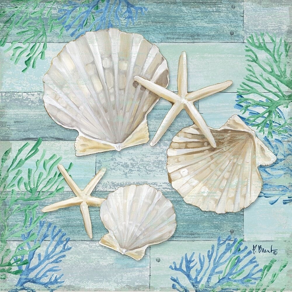Posterazzi Clearwater Shells IV Poster Print by Paul Brent
