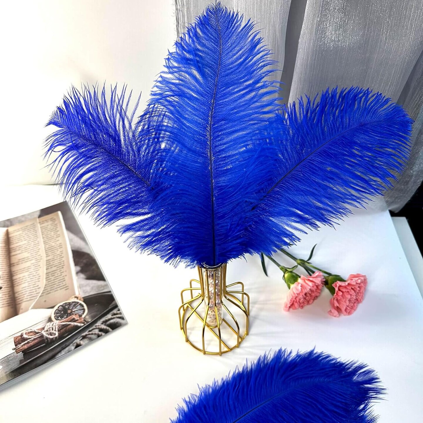 Stylish Natural Feathers