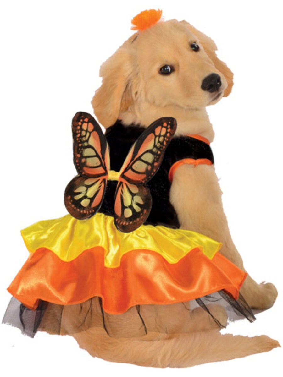 Deluxe Beautiful Butterfly Monarch Butterfly Pet Dog Costumes