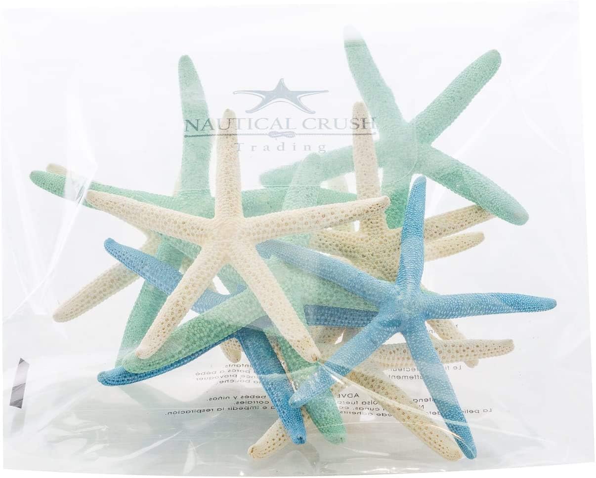 Starfish Decor 10 Blue Green &#x26; White Finger Star Fish 6-8 Inch Starfish for Crafts
