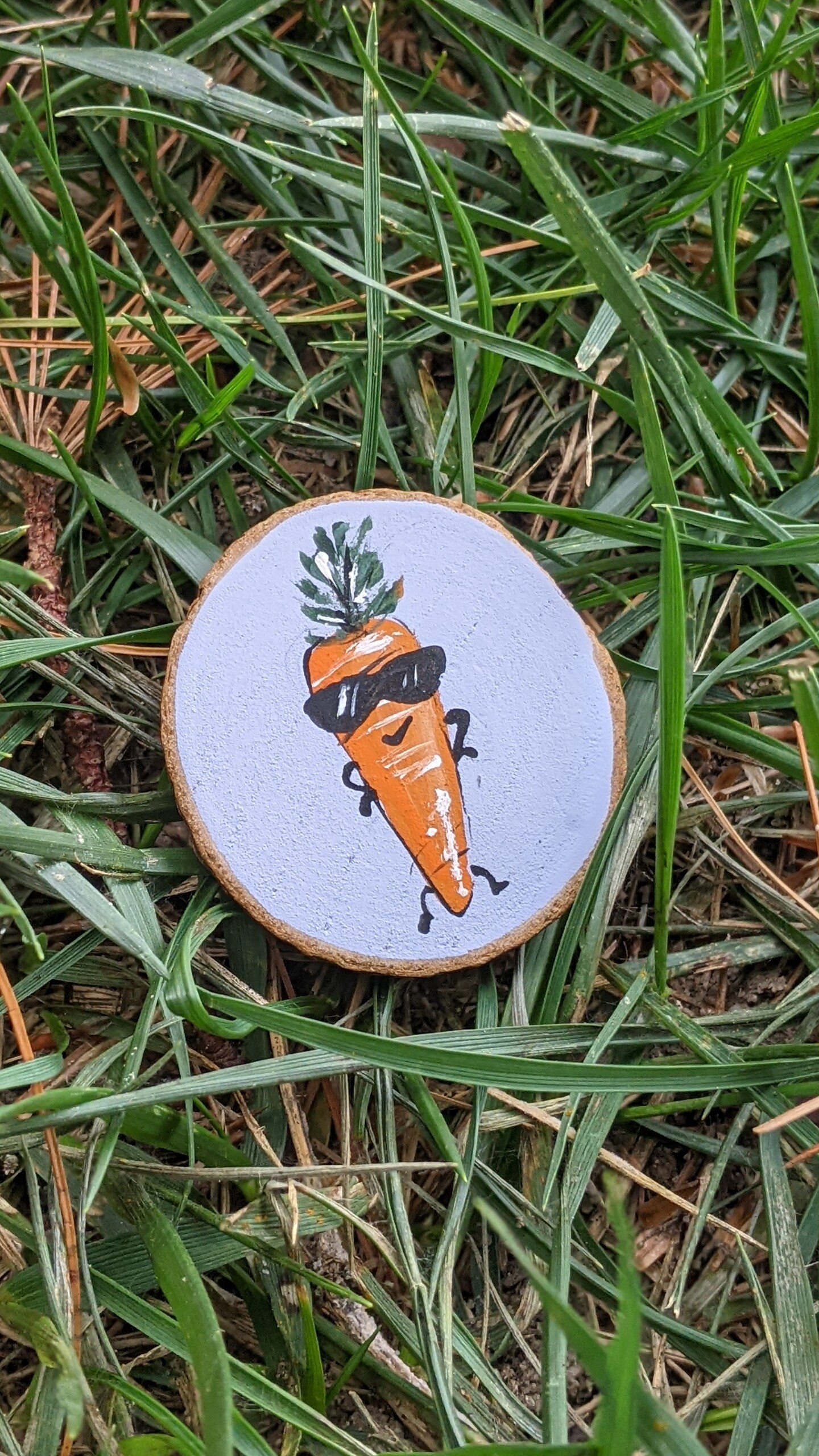 Cool Carrot Magnet Hand Painted Wood Slice Art Kitchen Fridge Decor cool-carrot-magnet-hand-painted-wood-slice-art-kitchen-fridge-decor